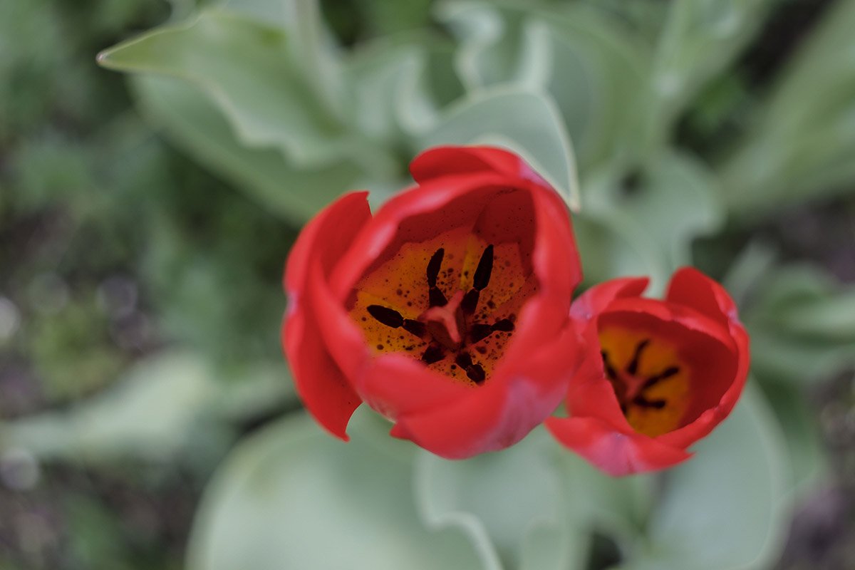 Фото: Роман Барабаш Фото: Роман Барабаш