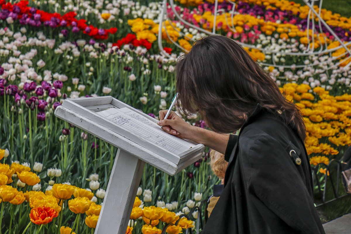 Можно оставить свои впечатление в специальной книге Можно оставить свои впечатление в специальной книге