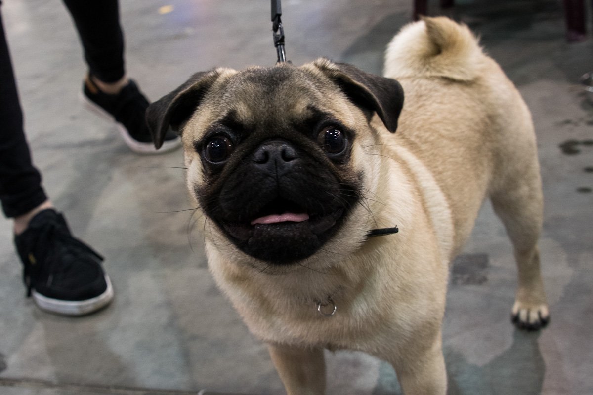 Посмотри мне в глаза! Посмотри мне в глаза!