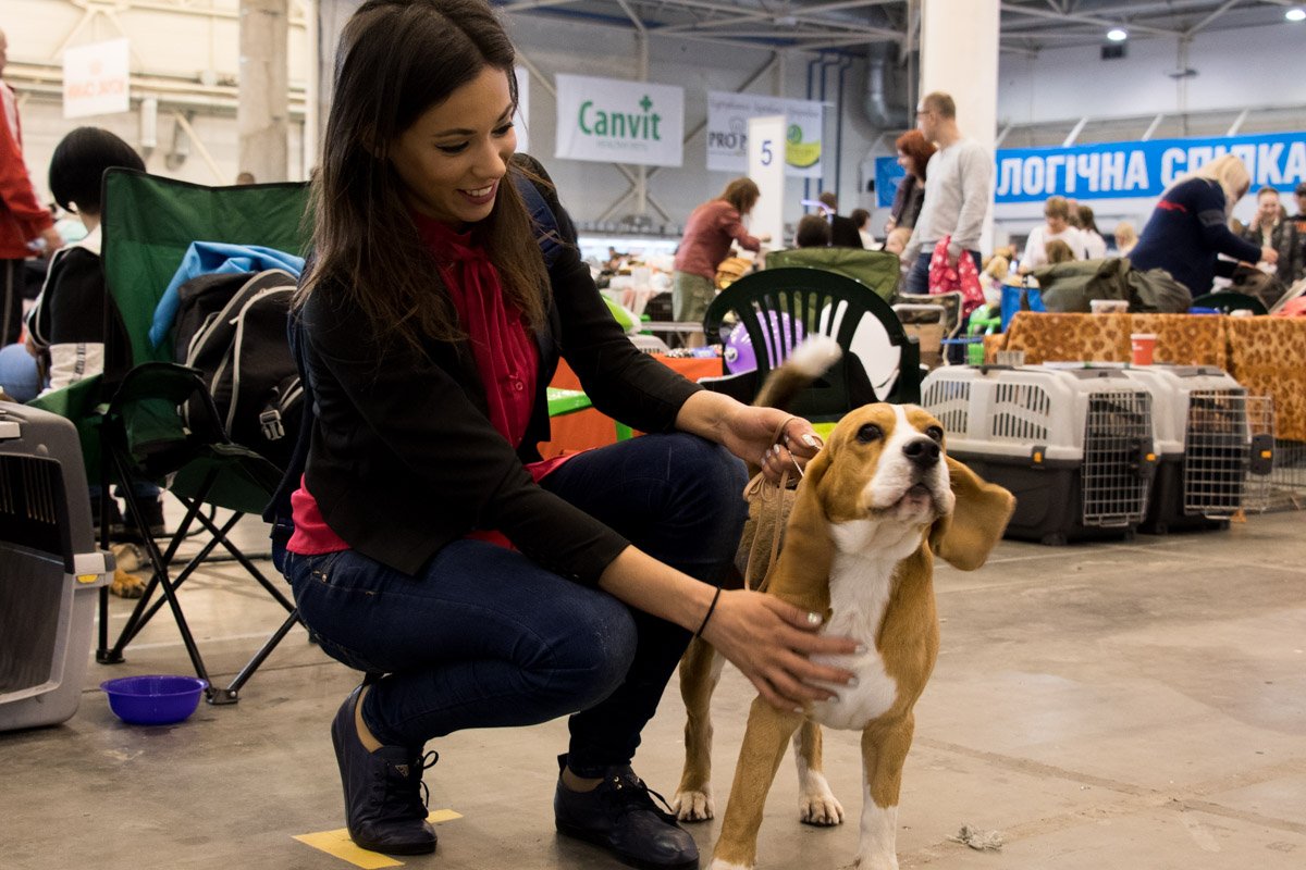 Учуял запах славы Учуял запах славы