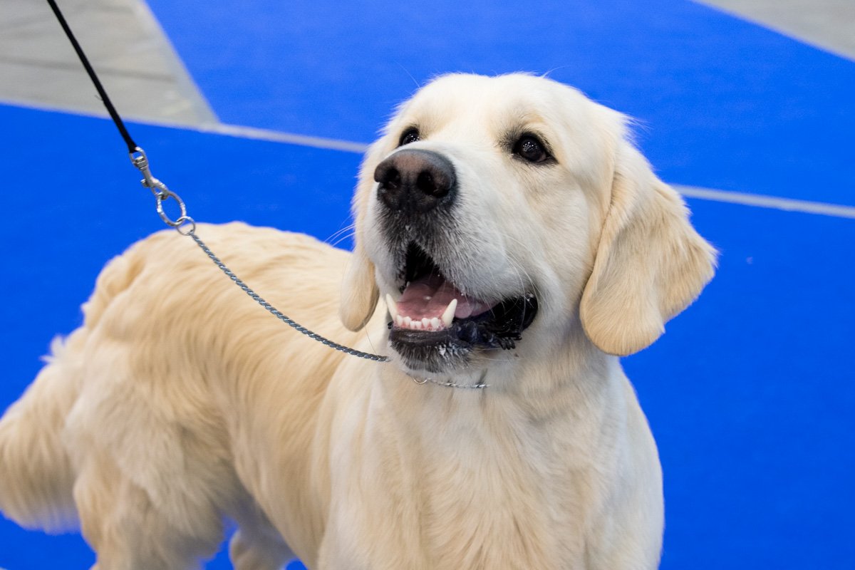 Перед выступлением Перед выступлением