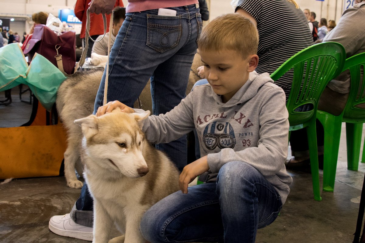 Дай-ка я тебя поглажу Дай-ка я тебя поглажу