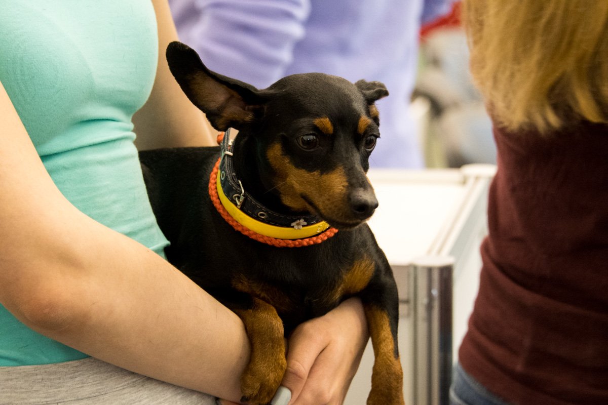 Я слышу тебя... Я слышу тебя...