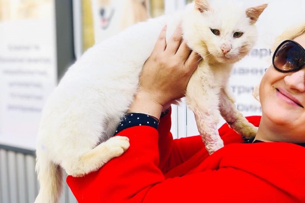 Марк с тяжелой судьбой ищет новый дом Марк с тяжелой судьбой ищет новый дом