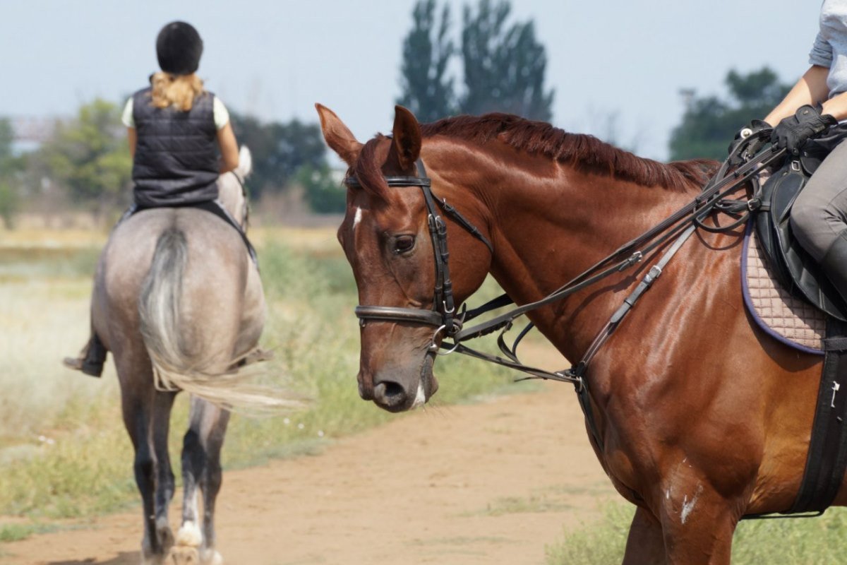  Уроки проходят только на открытом воздухе