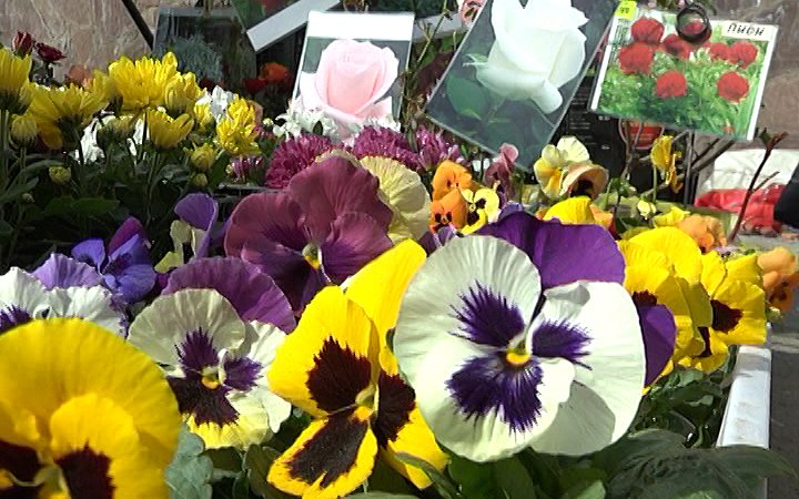 Для посетителей выставки предлагают множество товаров для дома и сада