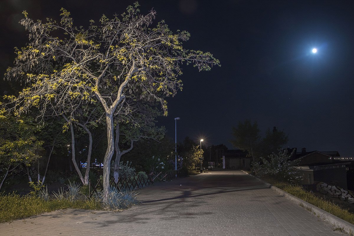 Безлюдная набережная под покровом луны