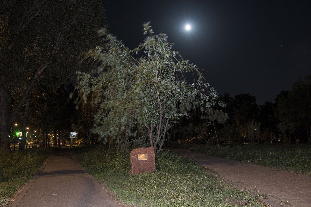 Пустынный сквер очаровывает взгляд