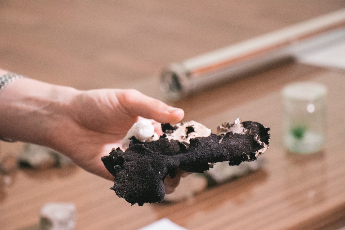 Ученые привезли из экспедиции 70 образцов грунта и химических элементов