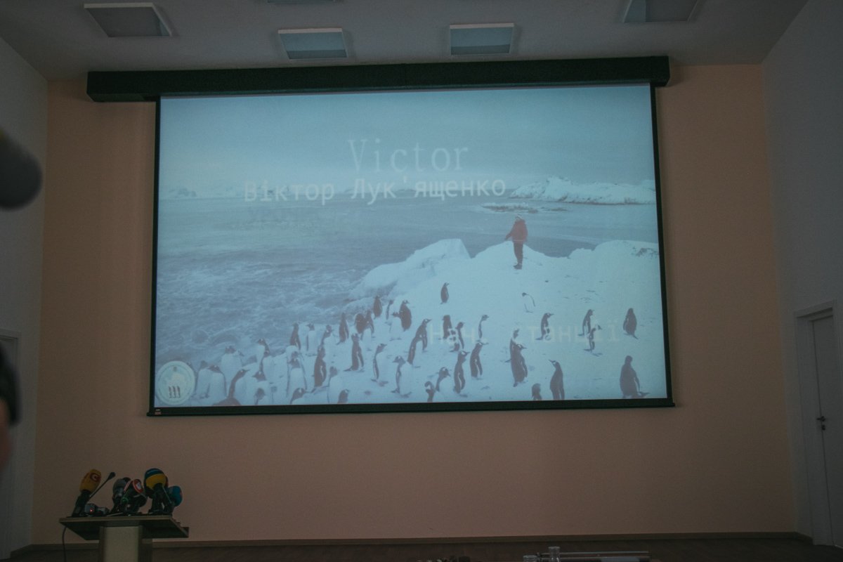 По словам ученых, пингвины, моржи и морские котики абсолютно не боятся людей