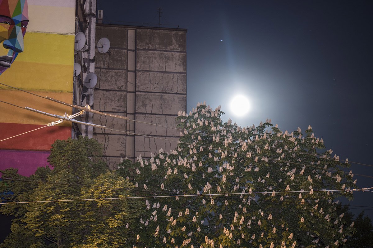 Луна освещает цветущие каштаны и окутанные тьмой дома