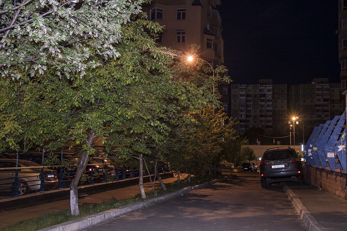 Уютные дворы Академгородка