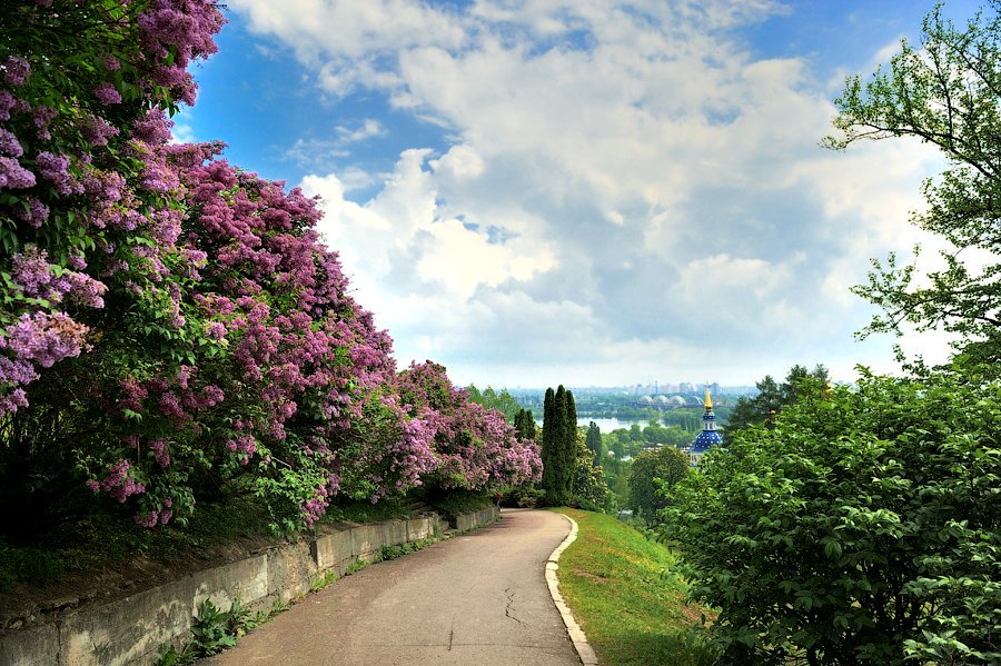 Национальный Ботанический сад им.Н.Н.Гришко в Киеве Национальный Ботанический сад им.Н.Н.Гришко в Киеве