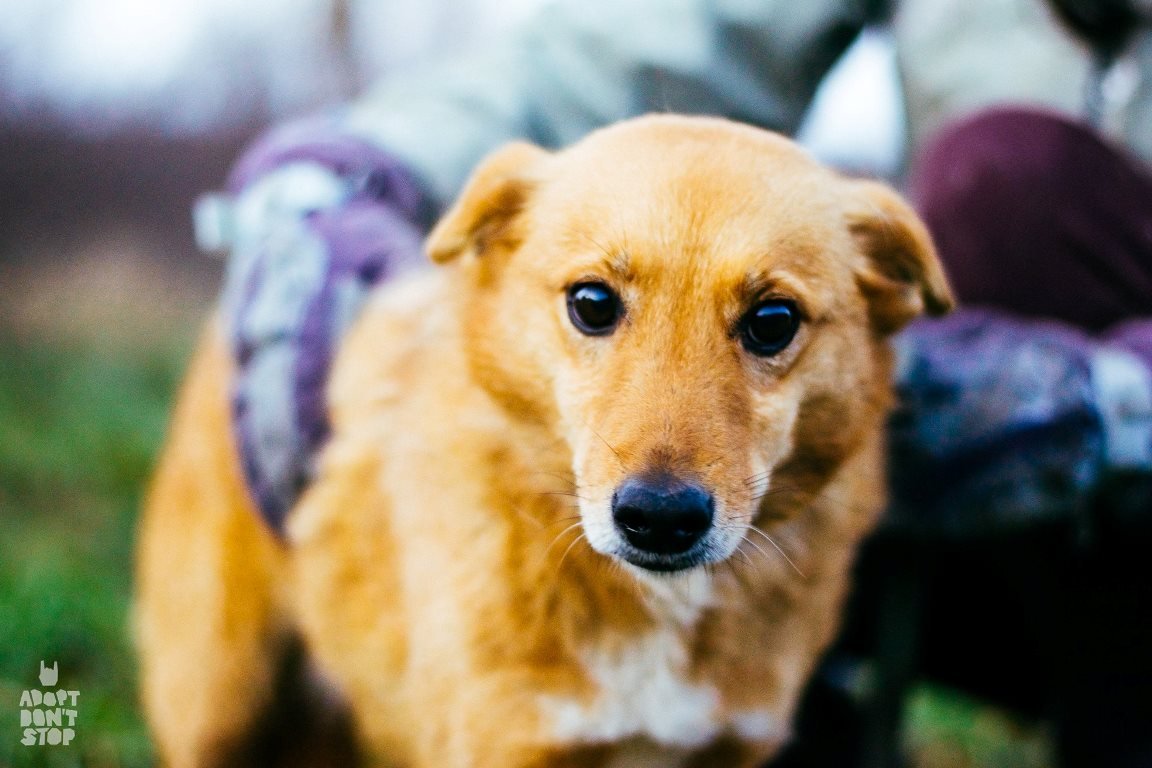 Алечка станет вам настоящей подругой