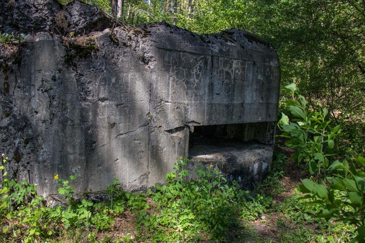 Оборонные укрепления построили в 1929-1941 годах Оборонные укрепления построили в 1929-1941 годах