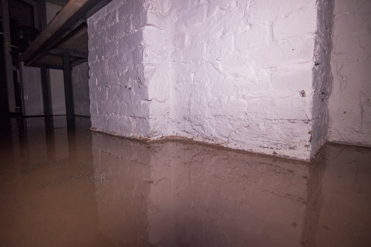 Сейчас в офисе ждут сотрудников клининговой компании, Сейчас в офисе ждут сотрудников клининговой компании,