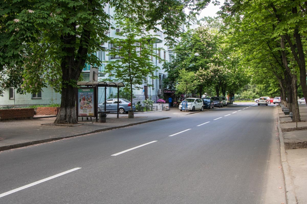 Дорога выглядит целой 