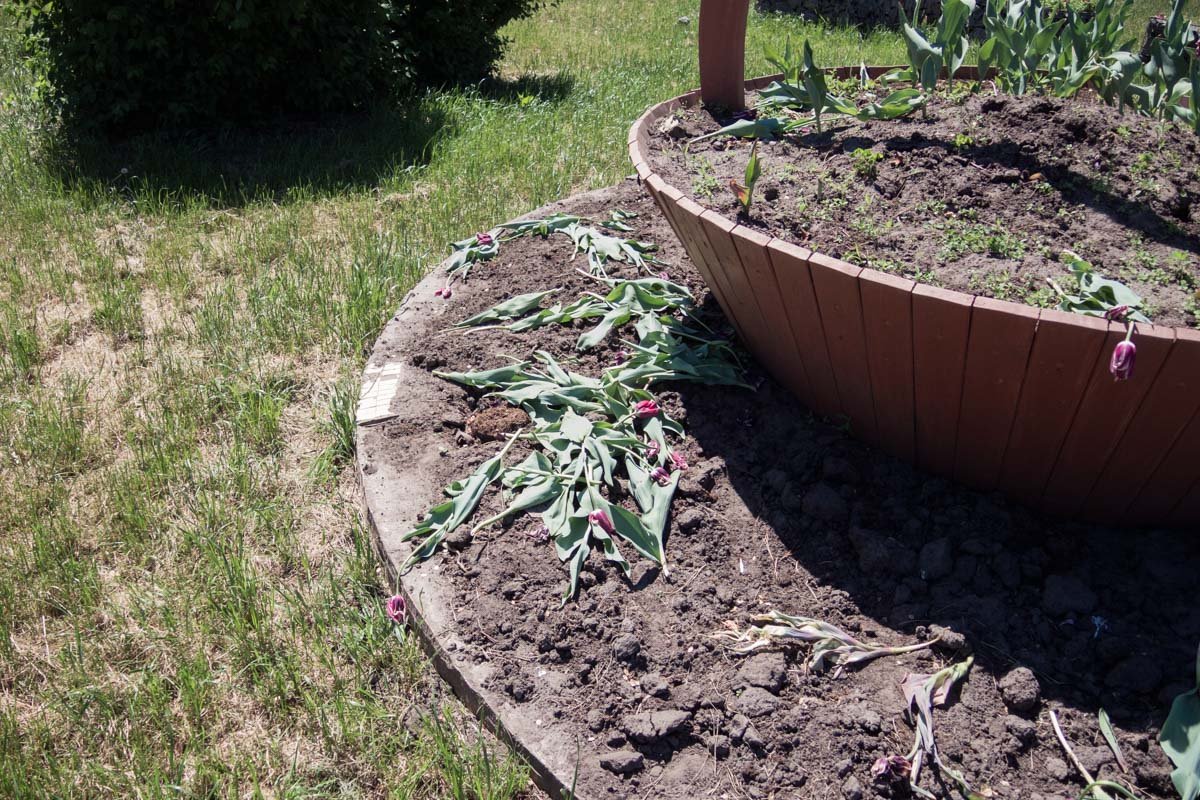 Видимо, на букетик не подошли