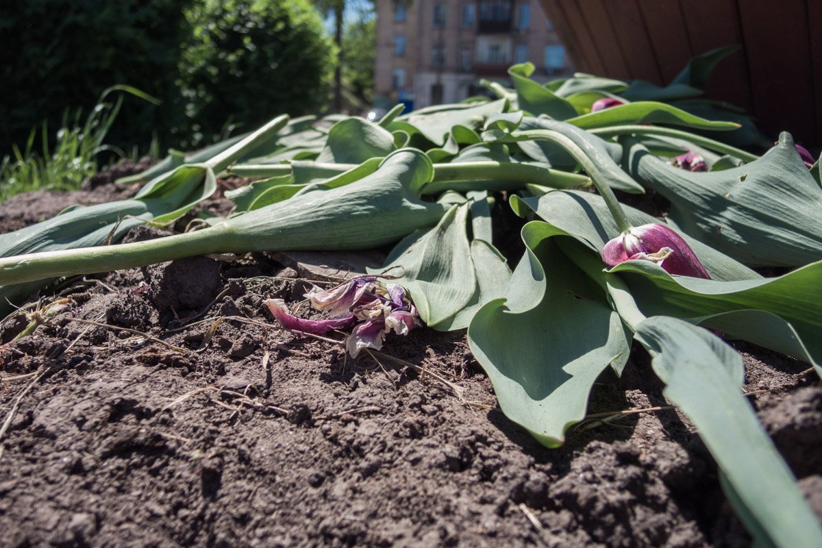 Может, вам чего-то в жизни не хватает?