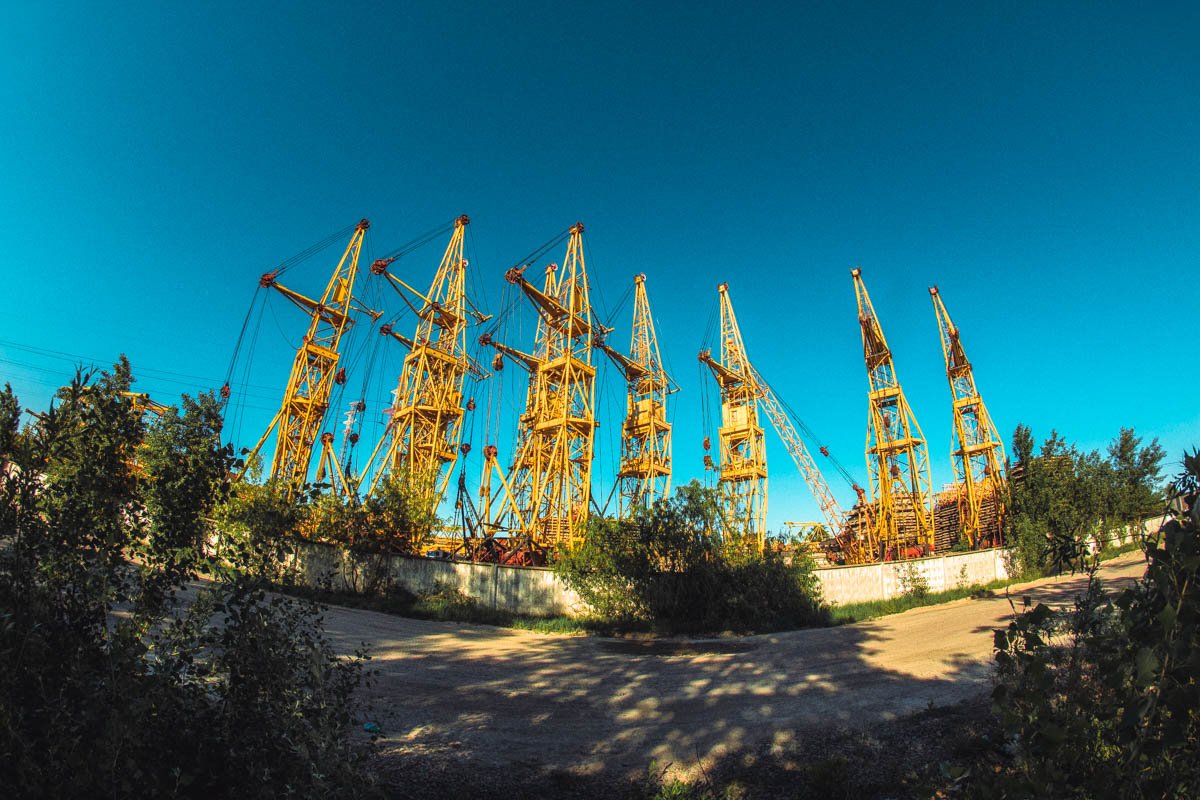 Железные великаны возвышаются над деревьями Железные великаны возвышаются над деревьями