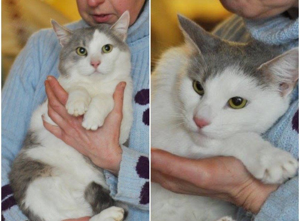 Сема и Сима ждут именно вас! Сема и Сима ждут именно вас!