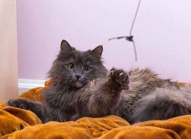 Мишель мечтает об уютном доме Мишель мечтает об уютном доме