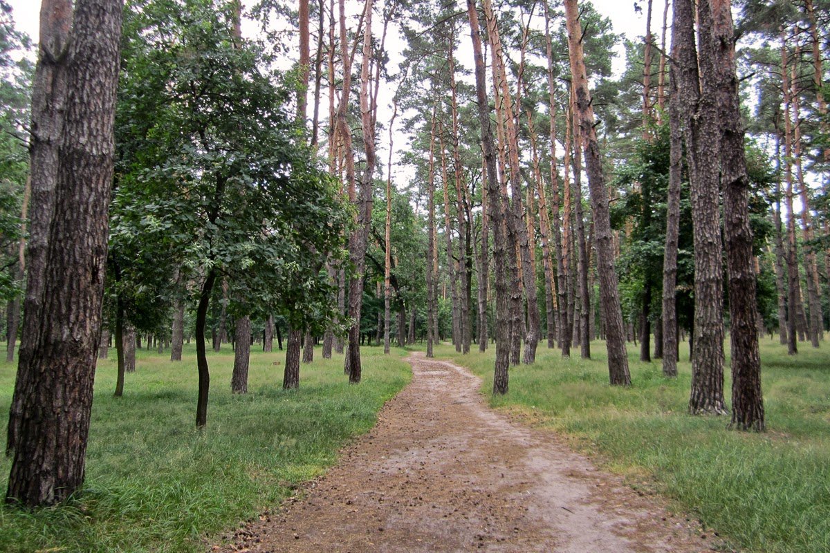 В парке можно полюбоваться белочками и утками