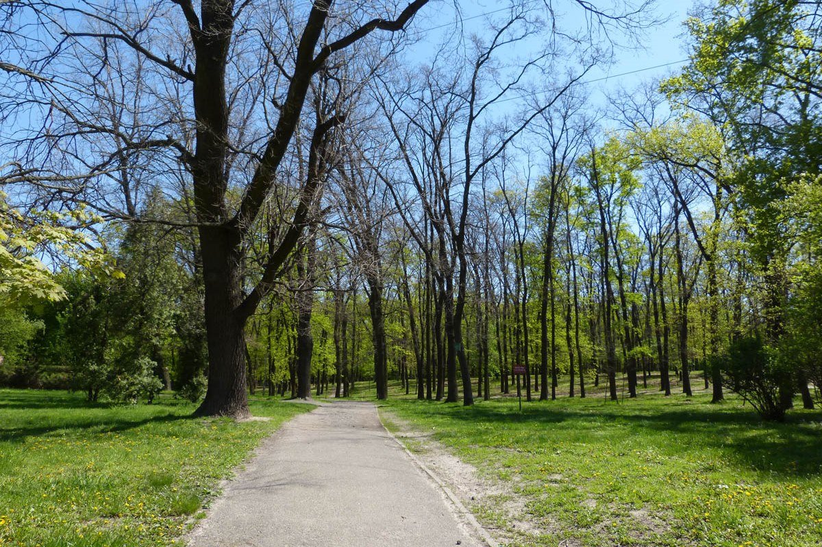 В парке специально оборудованы трамплины и овраги