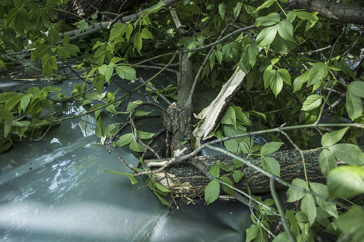 Существенно пострадал корпус машины Существенно пострадал корпус машины