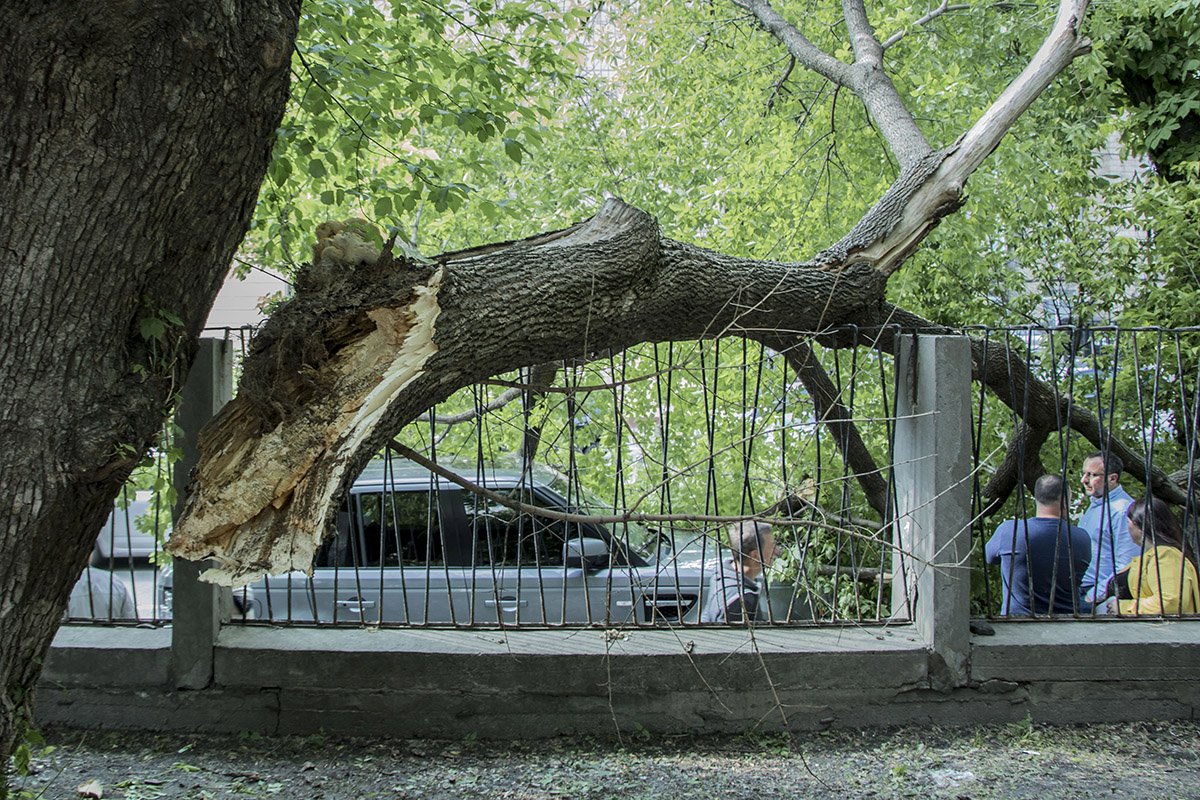 Киевзеленбуд Киевзеленбуд