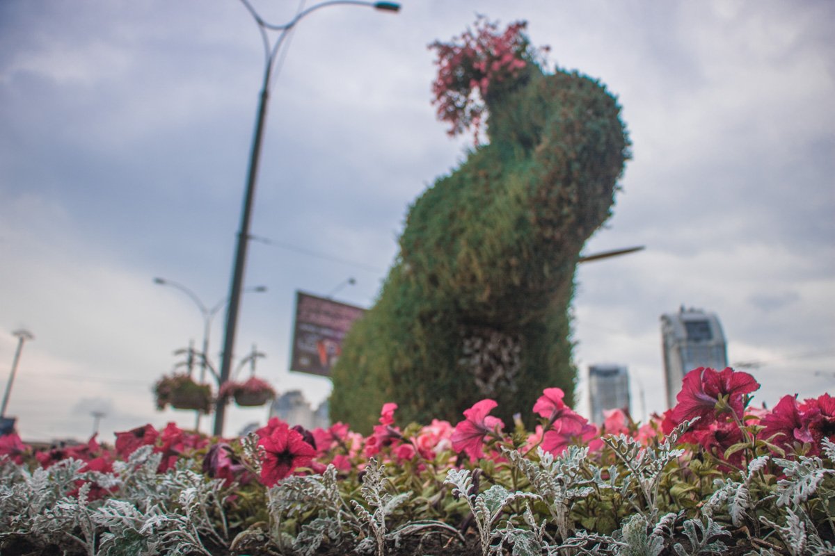 Милый потомок вымерших мамонтов Милый потомок вымерших мамонтов