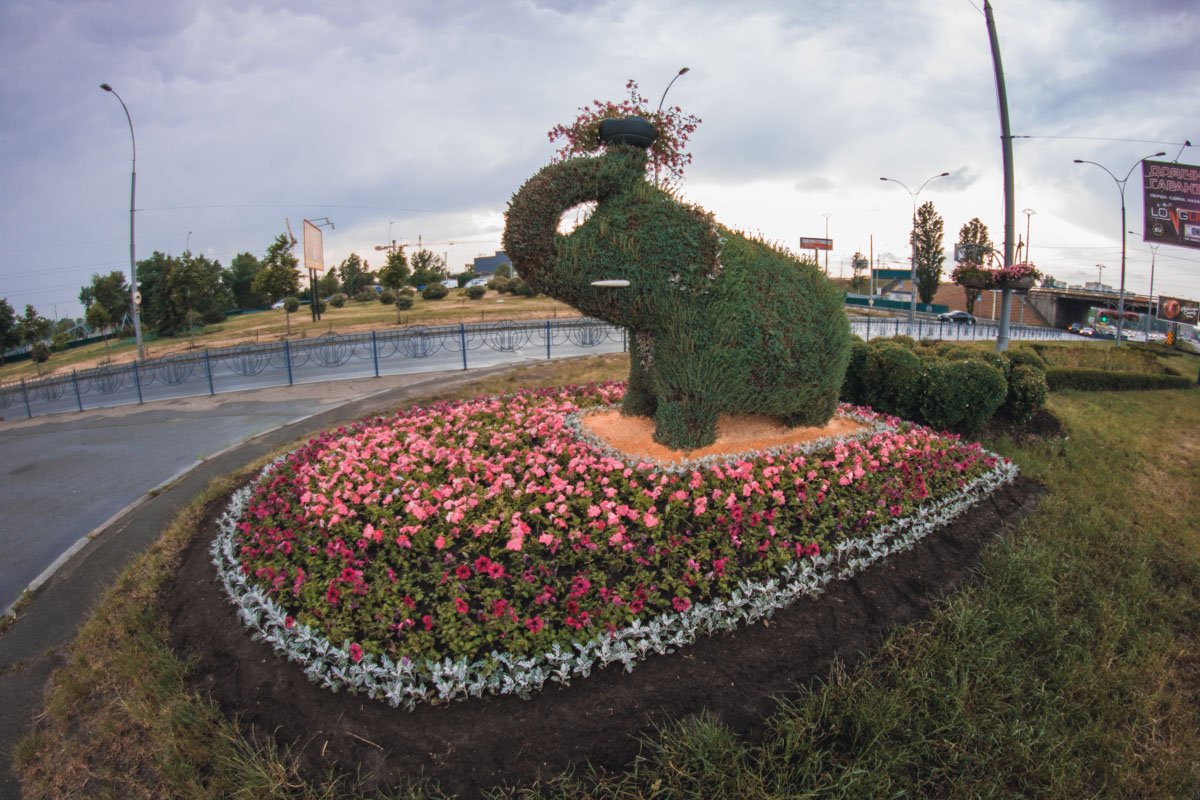 Хочется подойти и погладить зеленого малыша Хочется подойти и погладить зеленого малыша