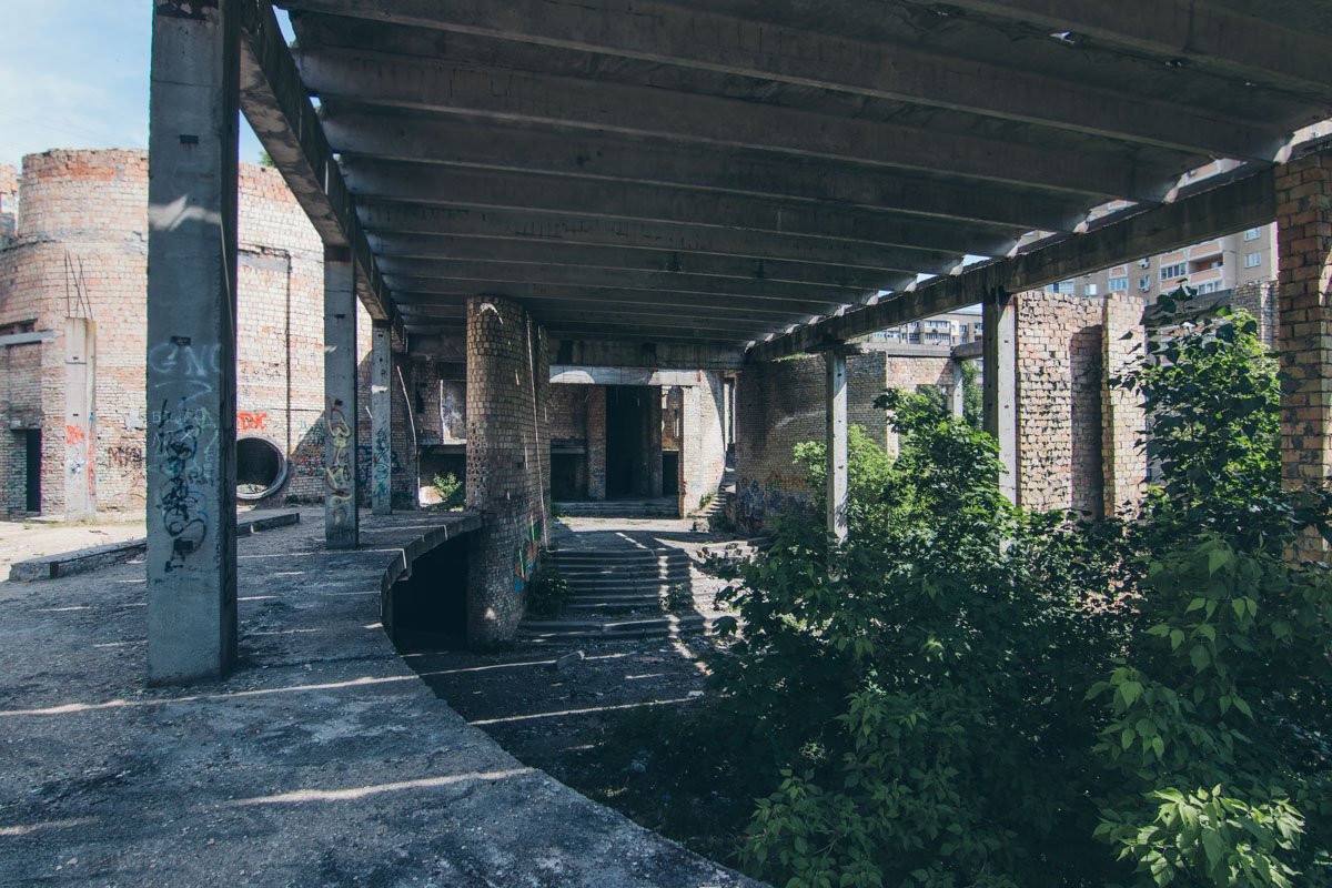 Природа забирает себе комнаты и залы - у нее свой долгий спектакль