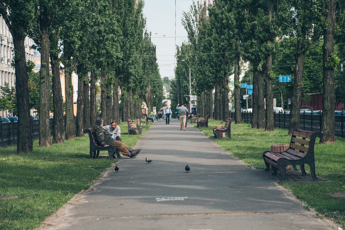 Аллергикам сейчас не позавидуешь - пух везде