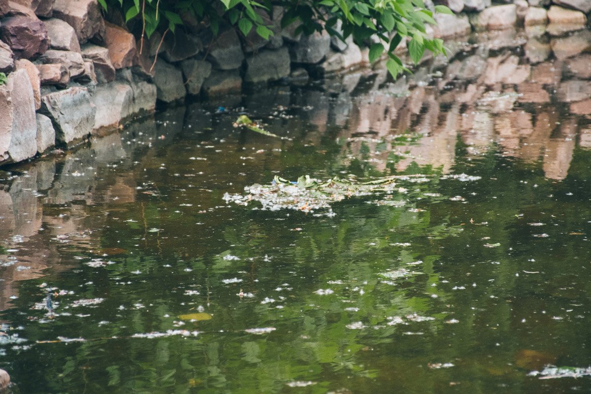 И на суше, и на воде