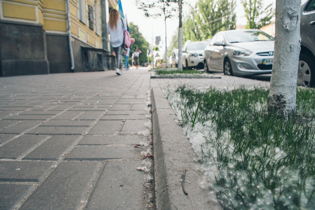 Зеленый газон превращается в белый