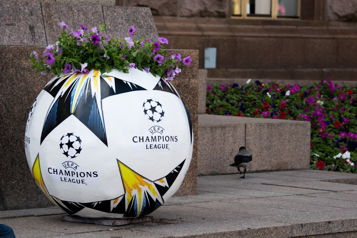 Мячи-вазы у дверей мэрии 