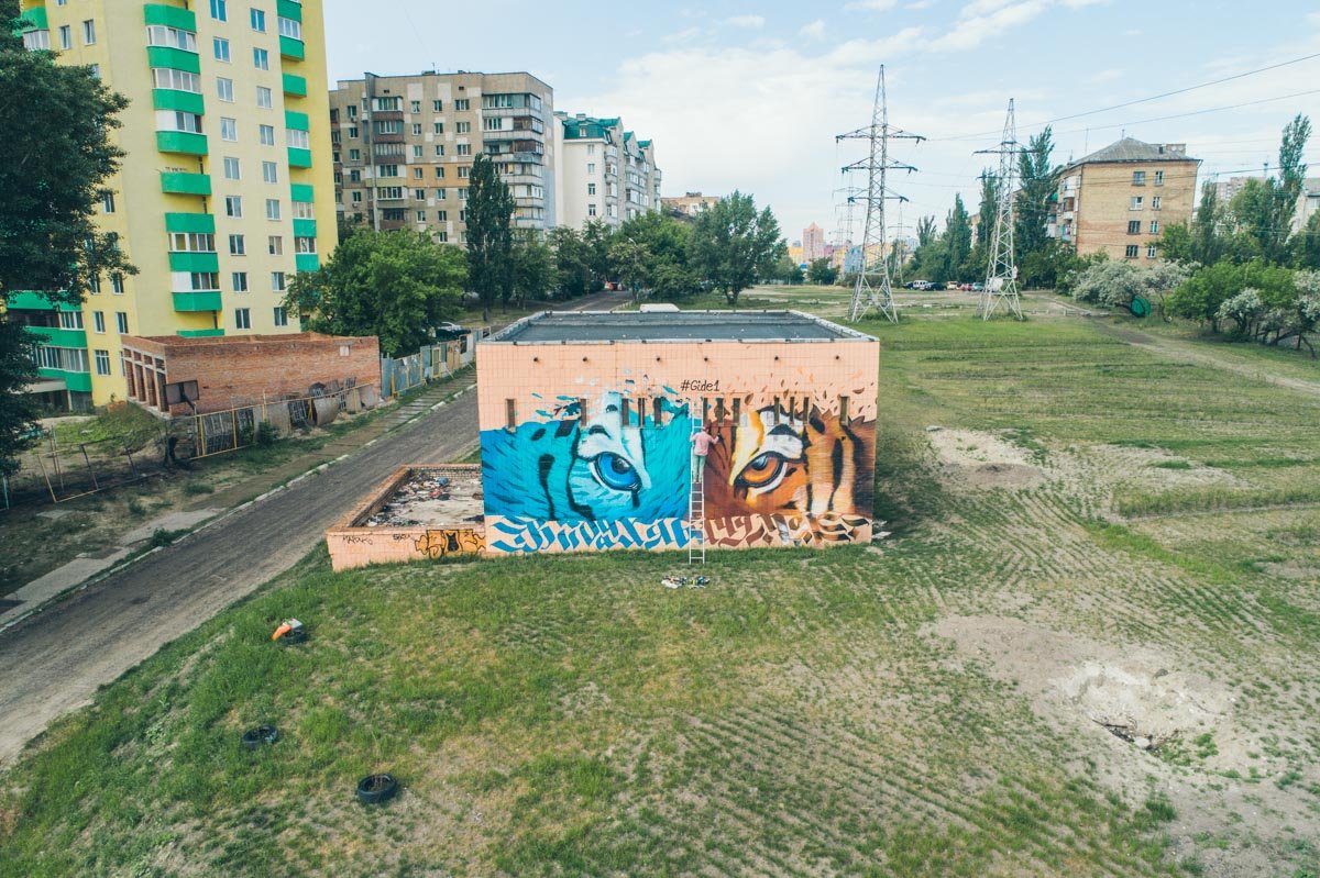 На стене дома на левом берегу Киева «поселили» тигра с разноцветными глазами 7