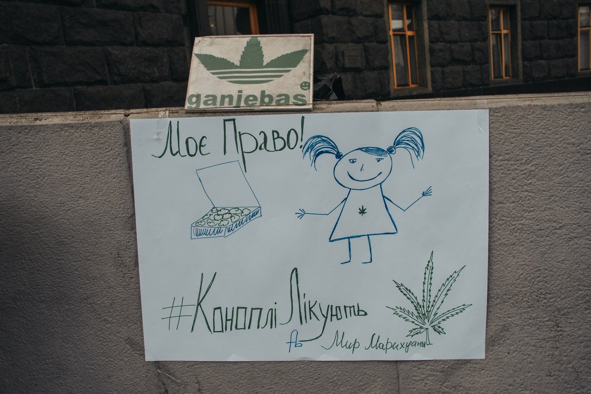 Активисты просят начать научные исследования канабиса и изучить потребности пациентов Активисты просят начать научные исследования канабиса и изучить потребности пациентов