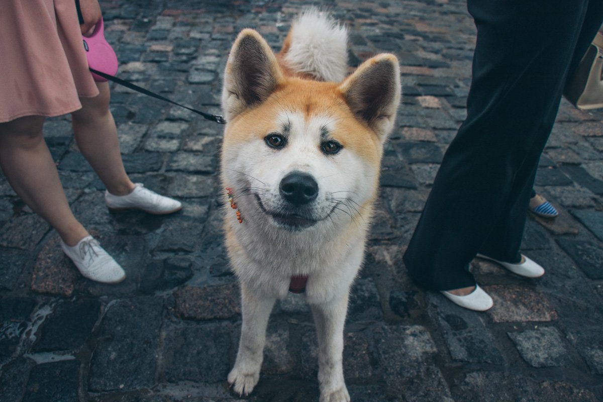 Участник марша, которому было теплее всего Участник марша, которому было теплее всего