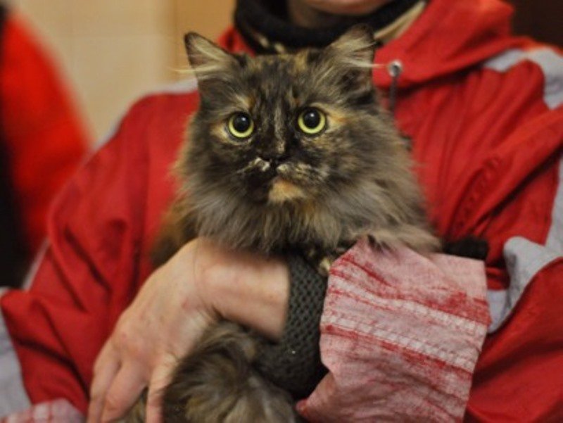 Нежная и ласковая девочка