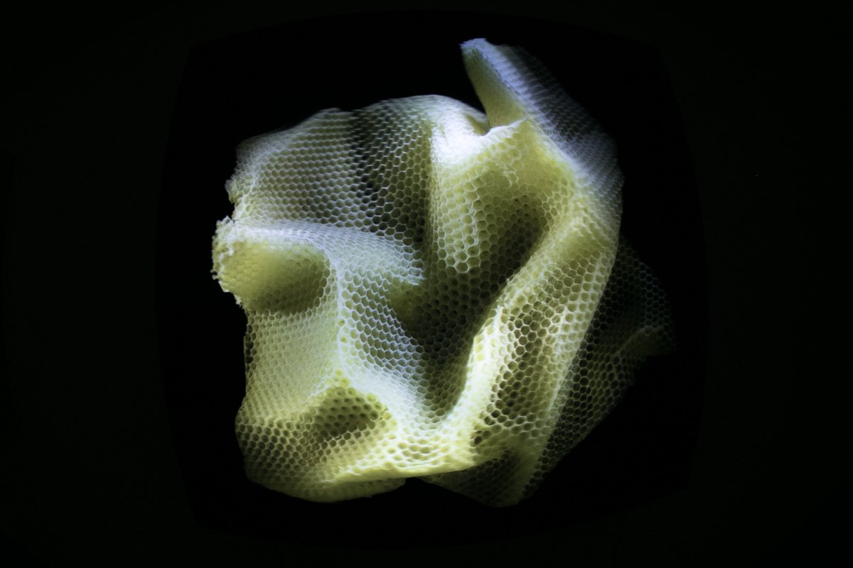 Нырнуть с головой в голограмму Нырнуть с головой в голограмму