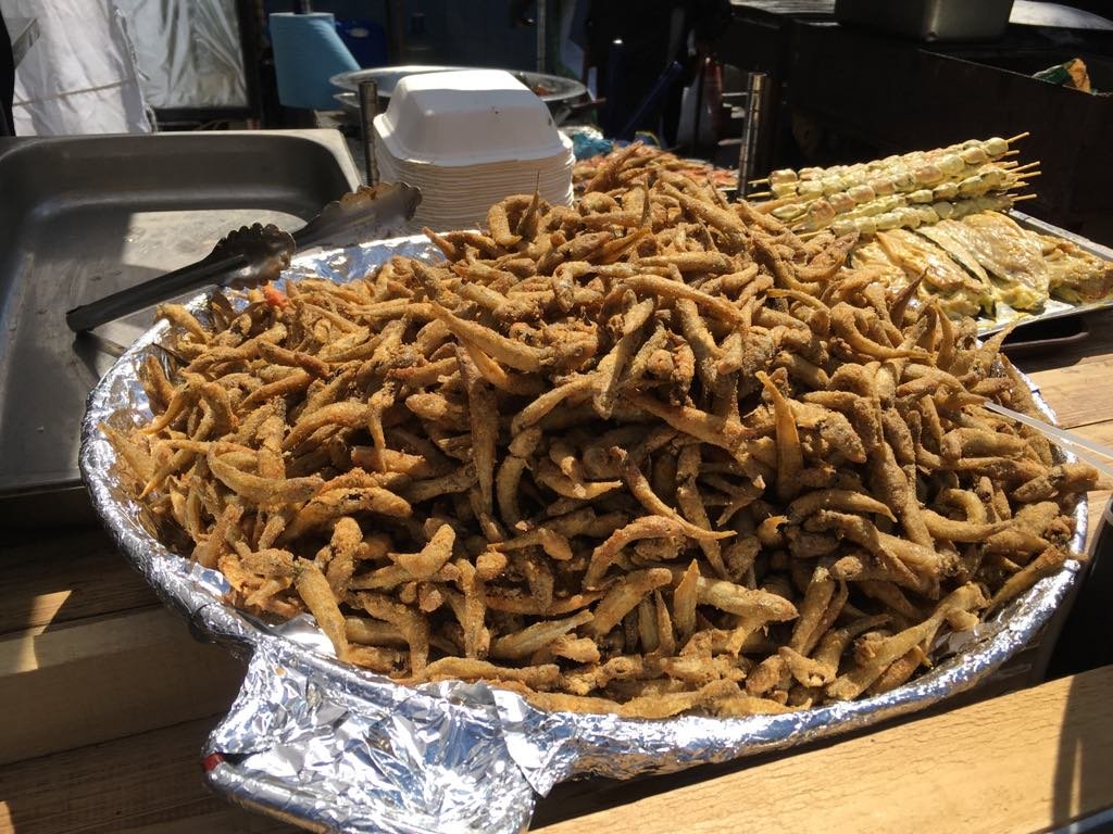 Это не червячки, а ца-ца