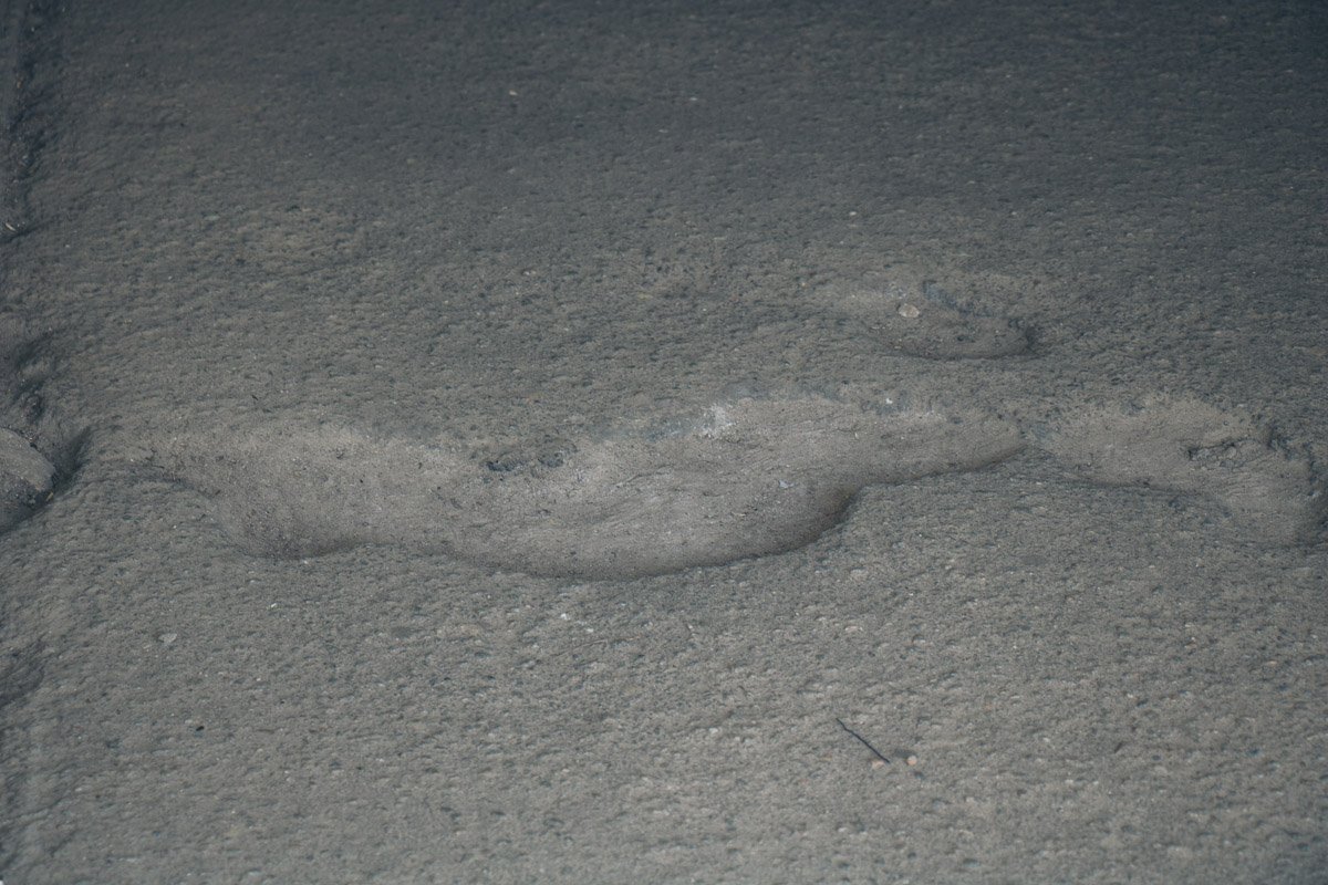 Ночью нужно быть осторожными и смотреть под ноги