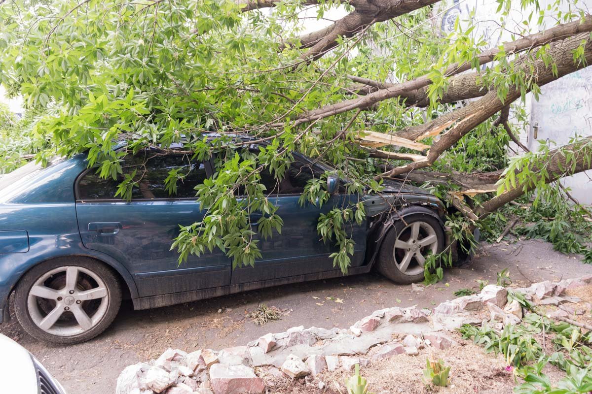 К счастью, обошлось без пострадавших К счастью, обошлось без пострадавших