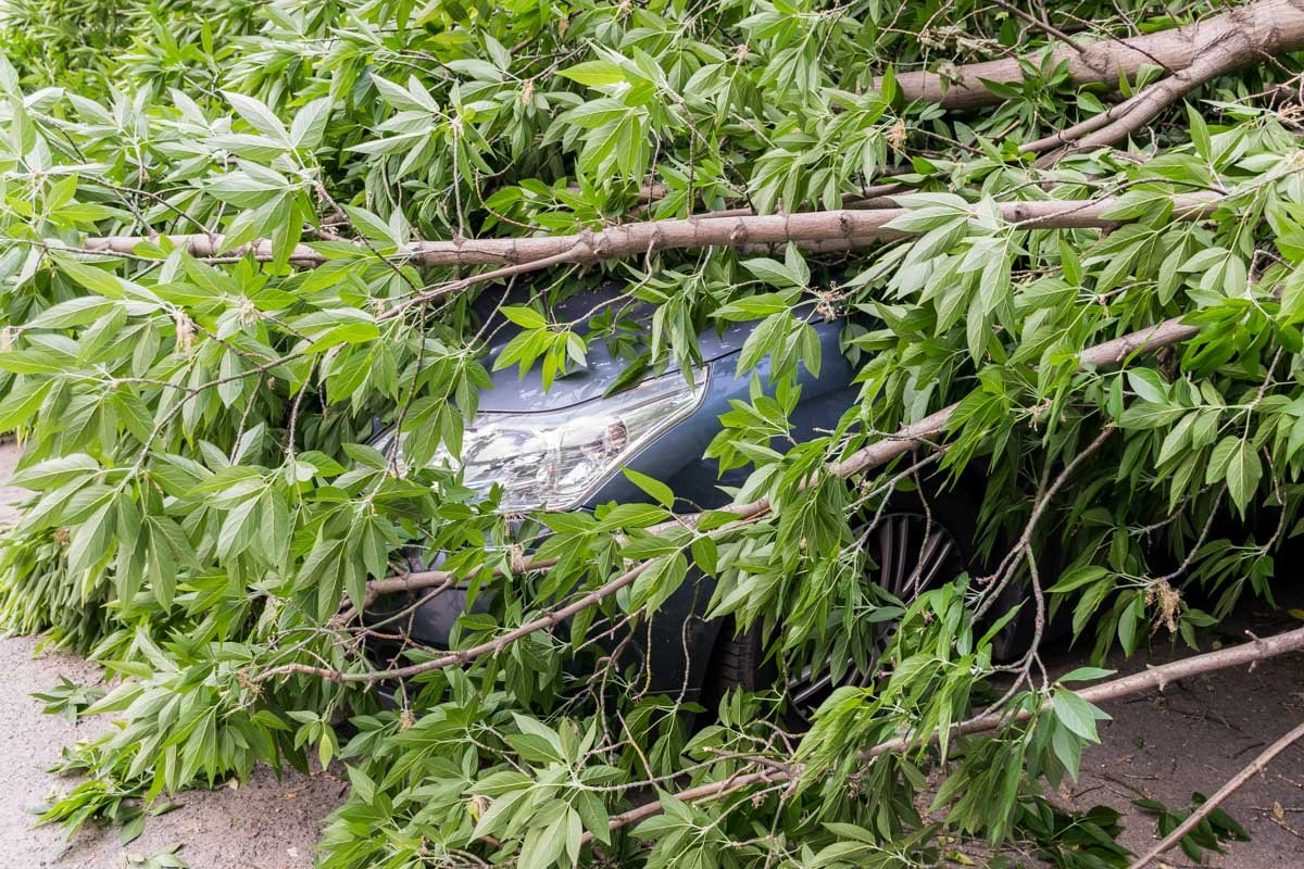 Хорошо, что в авто не было водителей Хорошо, что в авто не было водителей