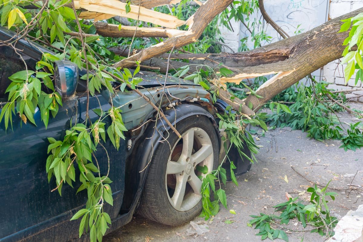Парковать машину возле стройки или деревьев не желательно Парковать машину возле стройки или деревьев не желательно