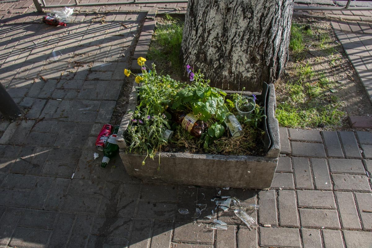 А вот так выглядят киевские клумбы