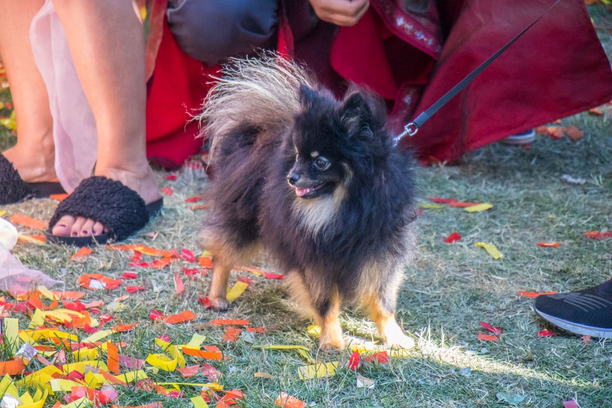 Публика "куражилась" разная... Публика "куражилась" разная...