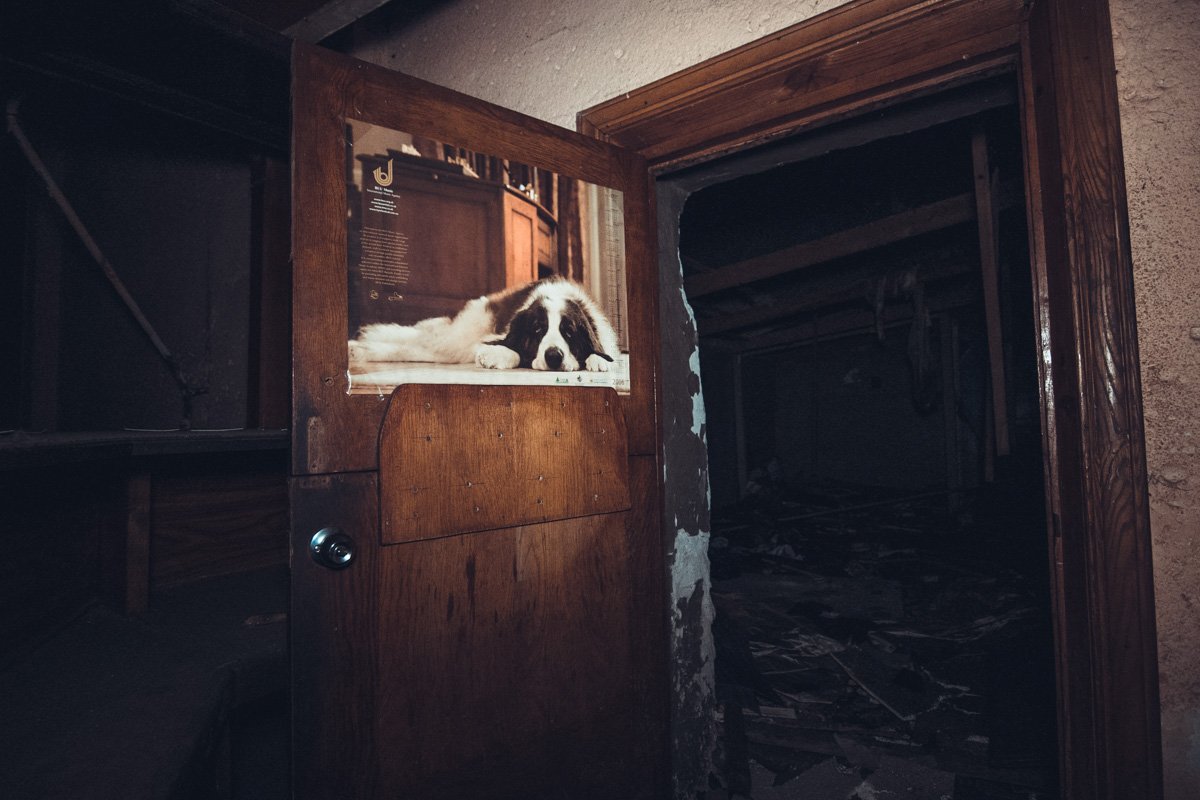 Тлен и печаль